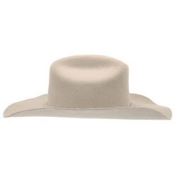 Biltmore Justin 3X Rodeo Wool Felt Western Hat -Bailey Store H JF0342 BELLY 2a