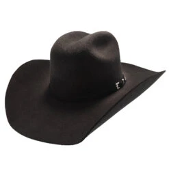 Biltmore Justin 3X Dixon Wool Felt Western Hat
