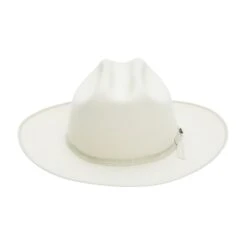 Pure Open Road - Stetson Beaver Fur Felt Fedora Hat -Bailey Store tfprorb0526 alabaster 1