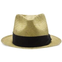 Midnight Luxe - Walrus Hats Sisal Straw Fedora Hat W/ Band -Bailey Store walrus hats fedora walrus hats sisal straw fedora hat w band hat 16693876293772